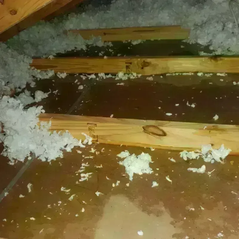 Attic Water Damage in Duchesne, UT